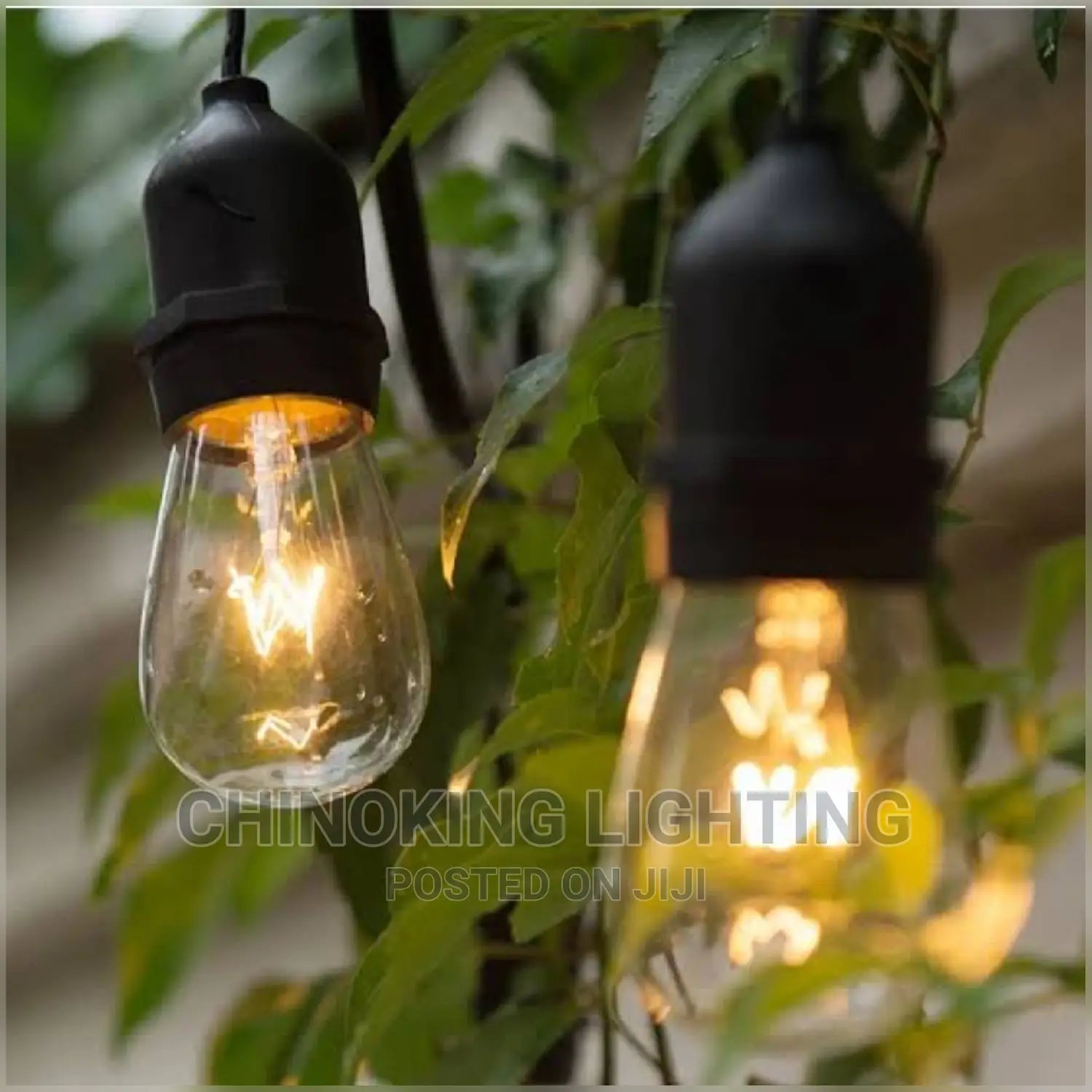 10m Length New String Lights