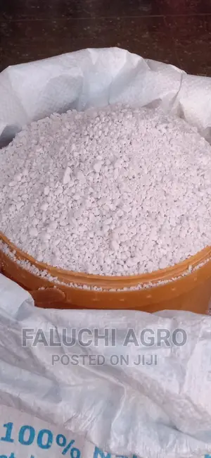 Perlite for Your Planting Needs ( Custard Paint)