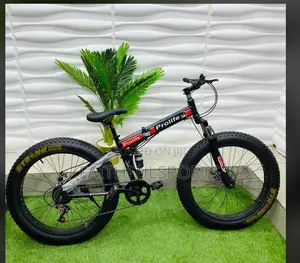 Quality Profile Big Tyre Bicycle