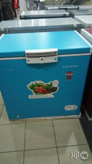 Polystar Deep Freezer Pv249