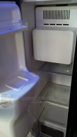 Fridge Technician and Professional