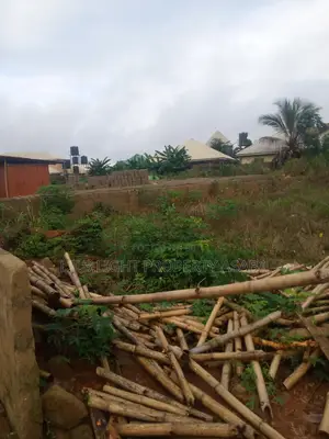 One Plot of Land 50ft by 100