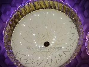 LED Ceiling Fitting Lights