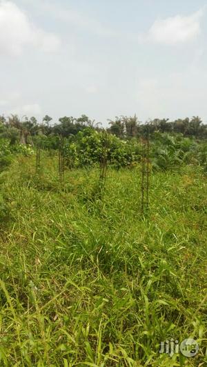Fast Selling Plots of Land at Abule Ado Behind Trade Fair