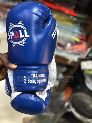 Training Boxing Gloves