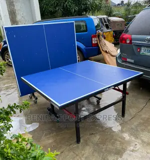 Outdoor Table Tennis Board (Prolife)
