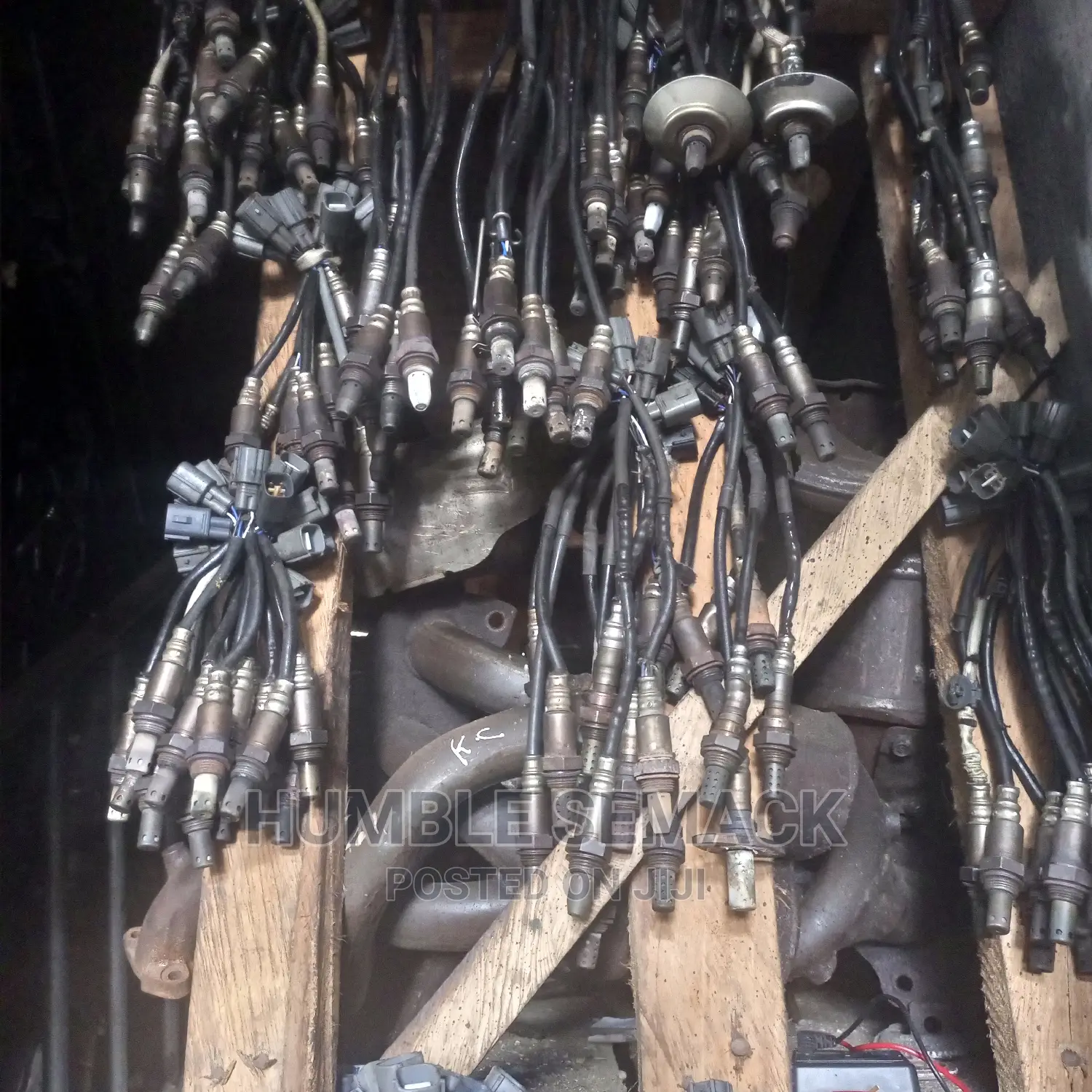 Oxygen Sensor
