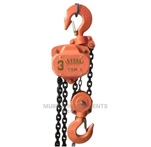 Japan Type Chain Hoist Vital 3 Ton Chain Pulley Block