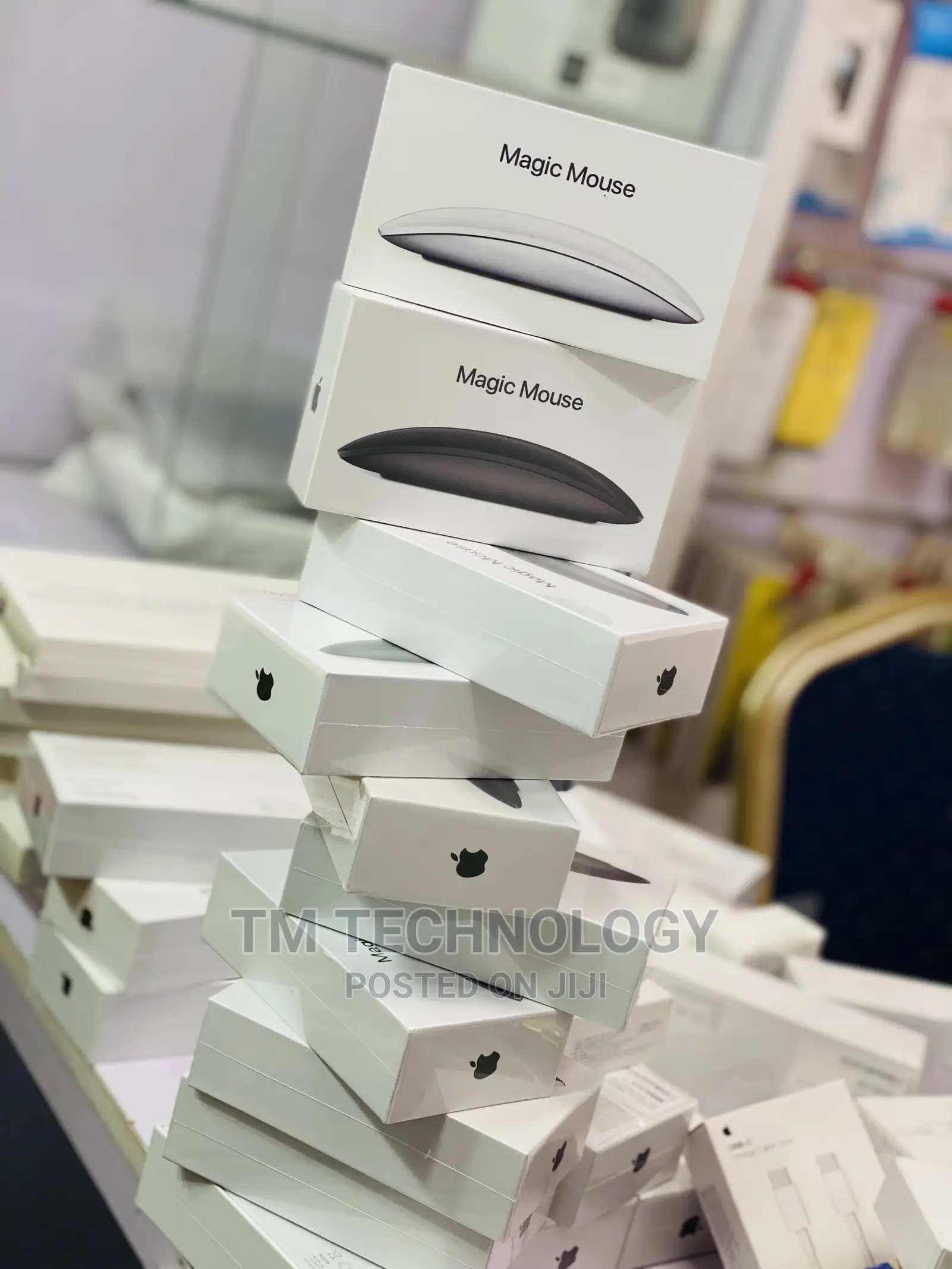 Magic Mouse 2