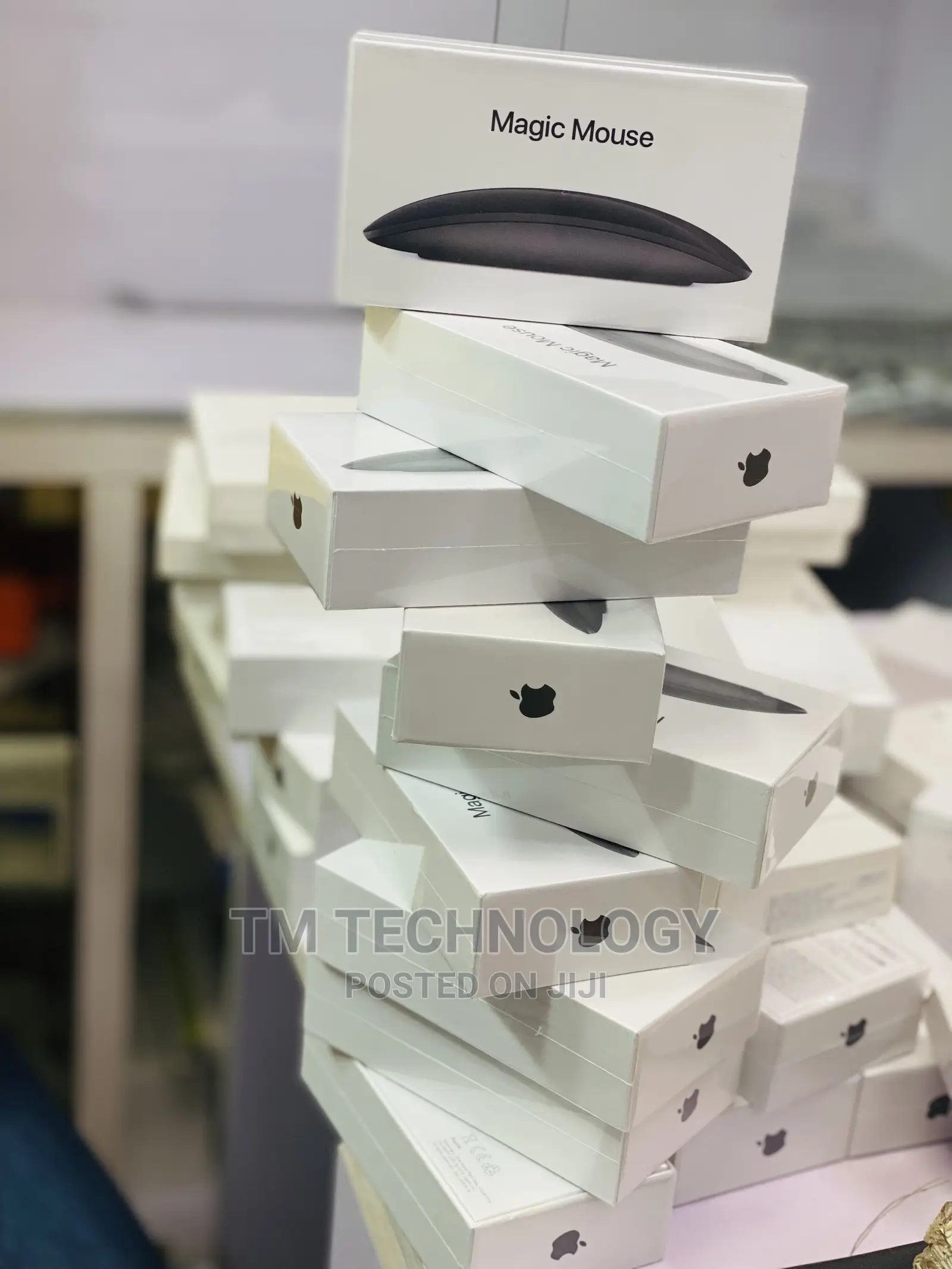 Magic Mouse 2