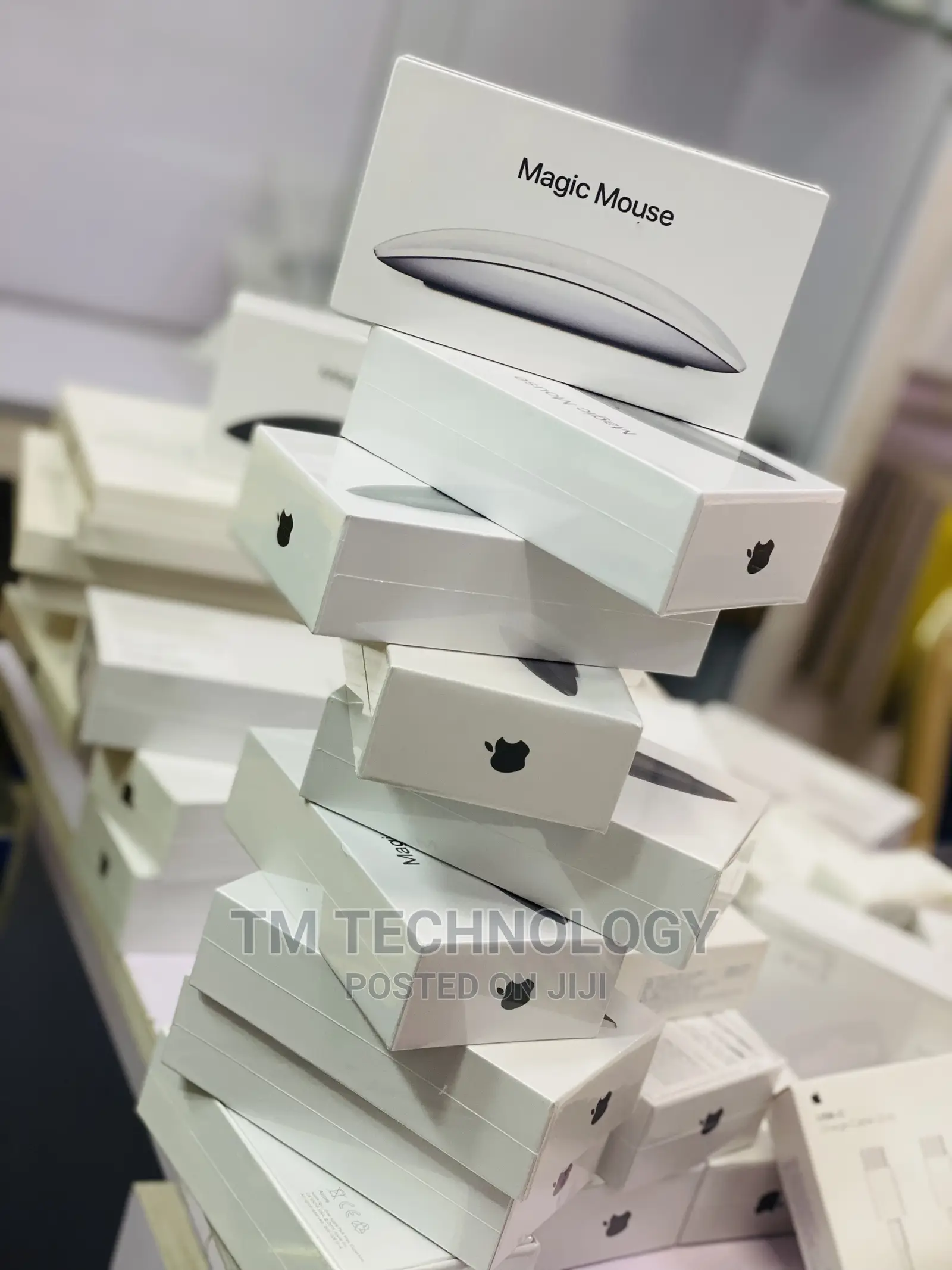 Magic Mouse 2