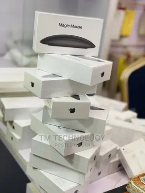 Magic Mouse 2