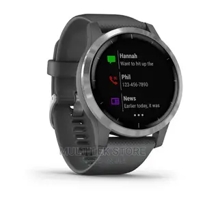 Garmin Vivoactive 4 Shadow Grey With Silver Hardware