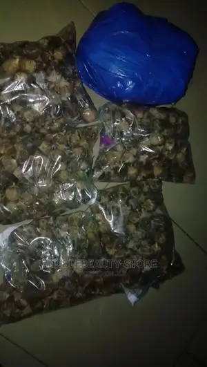 Goron Tula Wholesale 120pcs