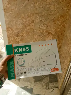 Pollution KN95 Face Mask