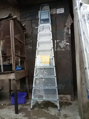 Steel Ladder. 10 Feet.