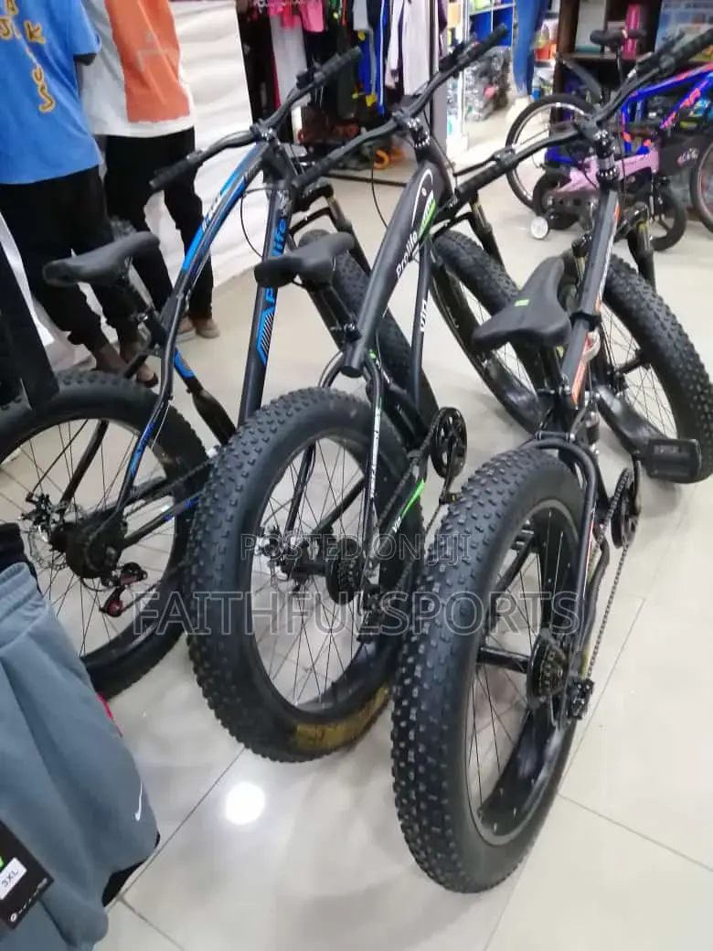 Big Tyre Quality Bicycle.