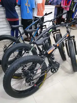 Big Tyre Quality Bicycle.