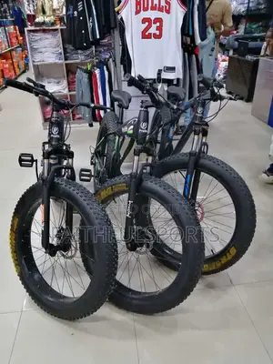 Big Tyre Quality Bicycle.