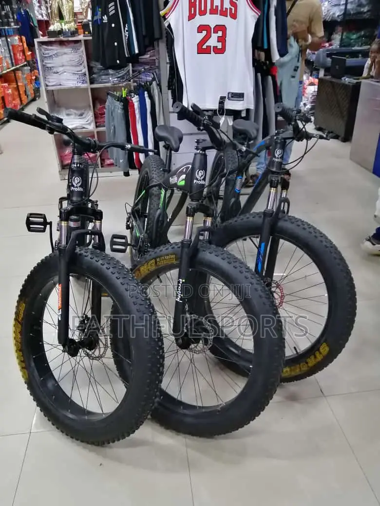Big Tyre Quality Bicycle.