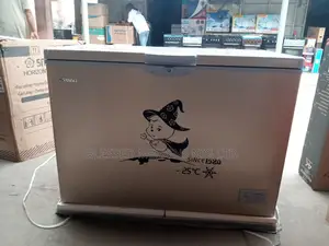 Snowsea Deep Freezer 300litres