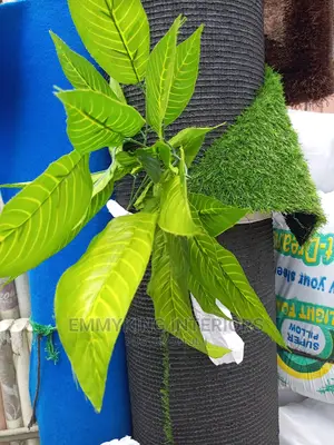 Quality Flowers
