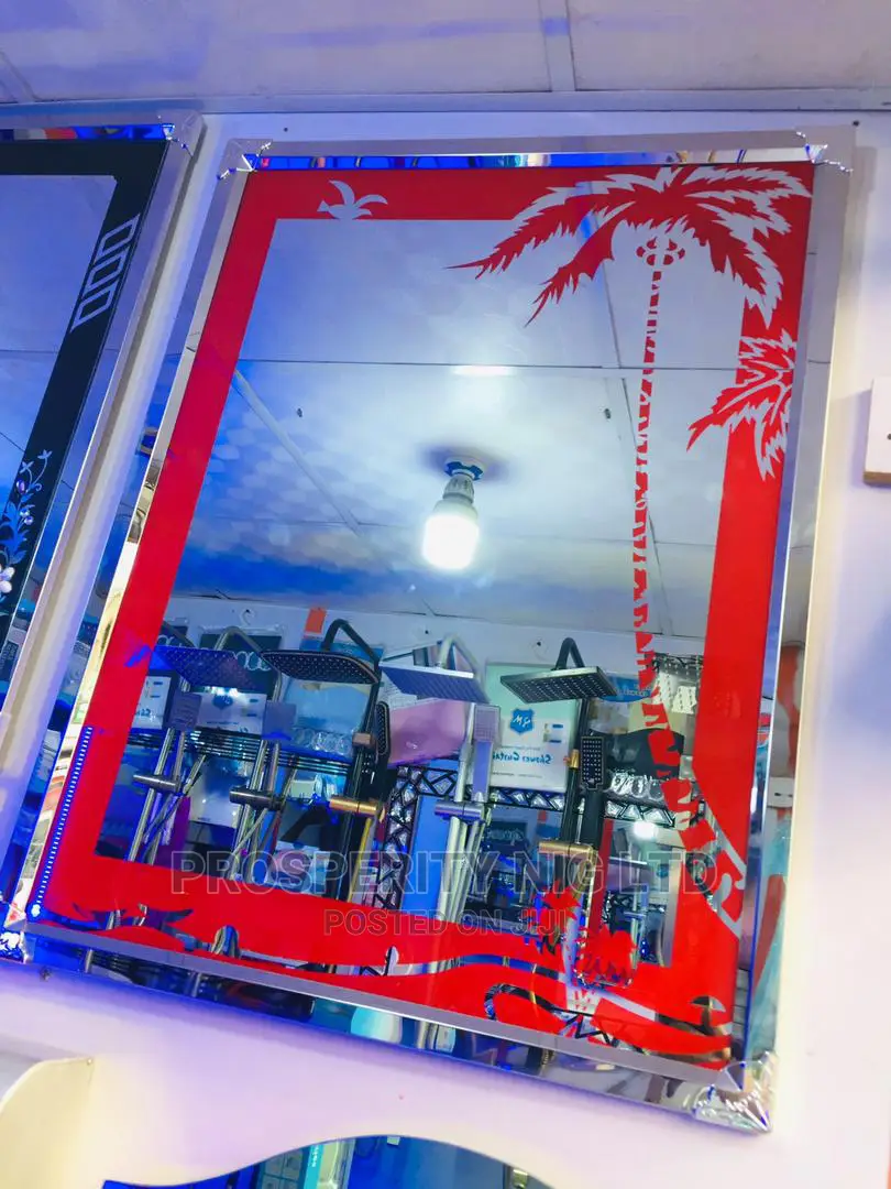 Design Mirror With Stainless Frame