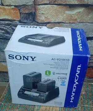 Original Sony Charge 2 In1