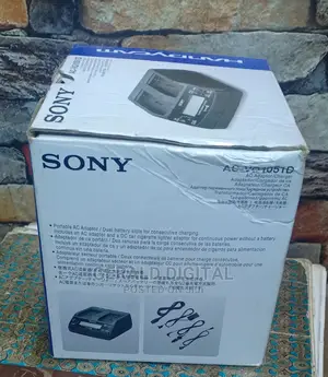 Original Sony Charge 2 In1