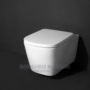 Concealed Wc