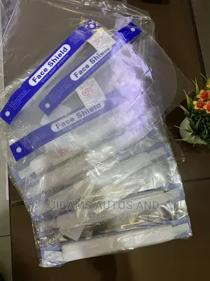 Original Elastic And Google Face Shield