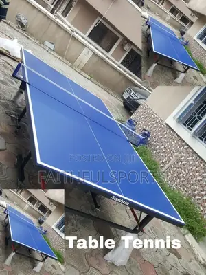 Outdoor Table Tennis