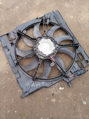 Fan BMW E70 X6