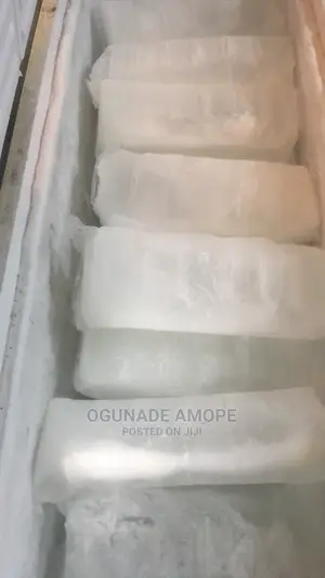 Ice Blocks for Food Storage