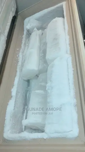 Ice Blocks for Parties