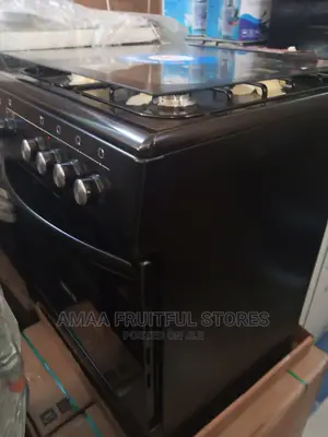 Scanfrost Standing Cooker