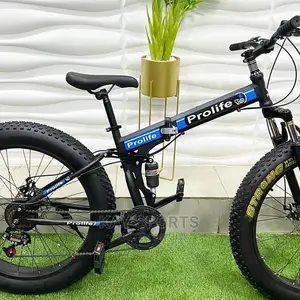 Big Tyre Foldable Sport Bicycle To