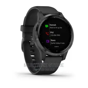 Garmin Vivoactive 4S Black With Slate Hardware