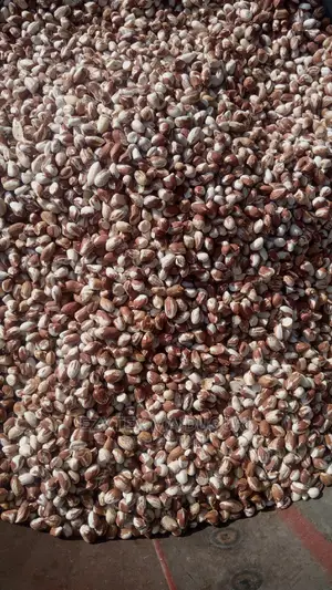 Maiduguri Groundnuts 100kg