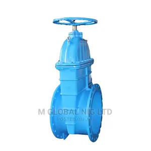 24"Inches Gate Valve