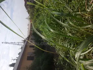 Residential of Land 4 Sale in the Heart of Wuse 2