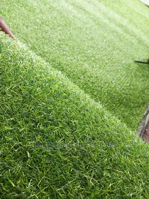 25mm Artificial Grass