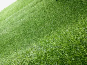 25mm Artificial Grass