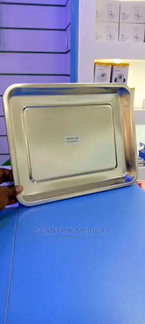 Stainless Steel Instrument Tray With Lid