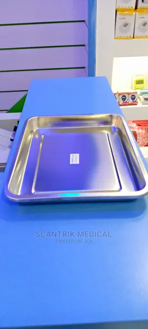 Stainless Steel Instrument Tray, for Hospital and Clinic