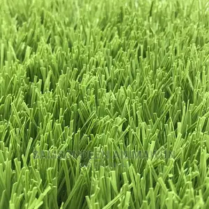Premium Football Artificial Grass