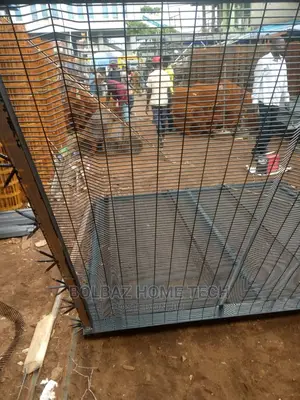 Panel Mesh; Fence Wire Material