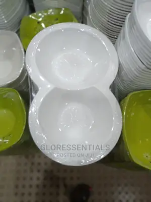 Partition Plate (6pcs)