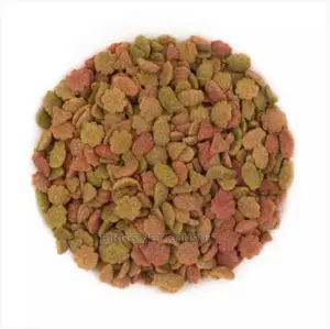 Cat Crunchy Dry Food 2kg/3kg/4kg Percool Delicat Bricopet Avantis