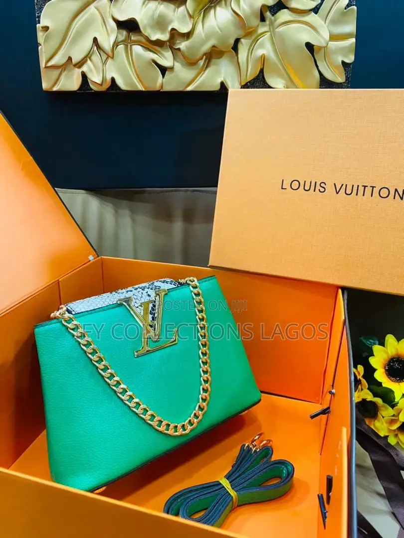 Luis Vuitton Handbags